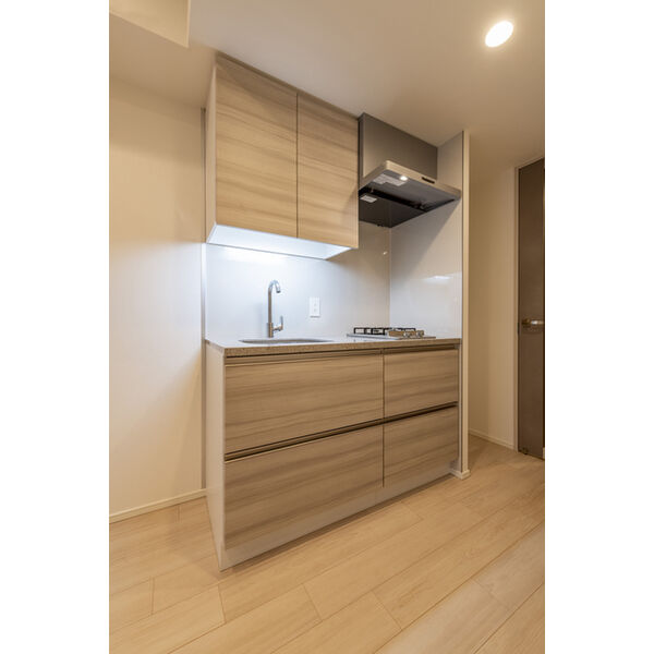 ザ・パークハビオ同心プレイスの室内写真2枚目