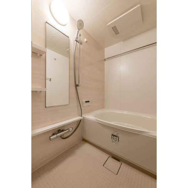 ザ・パークハビオ同心プレイスの室内写真3枚目