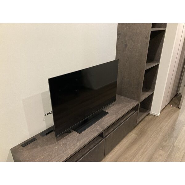 ザ・パークハビオ江坂公園の室内写真9枚目