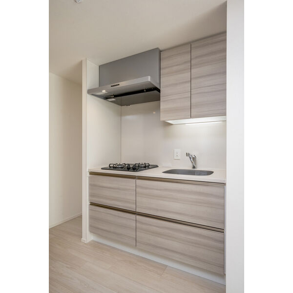 ザ・パークハビオ谷町六丁目テラスの室内写真3枚目