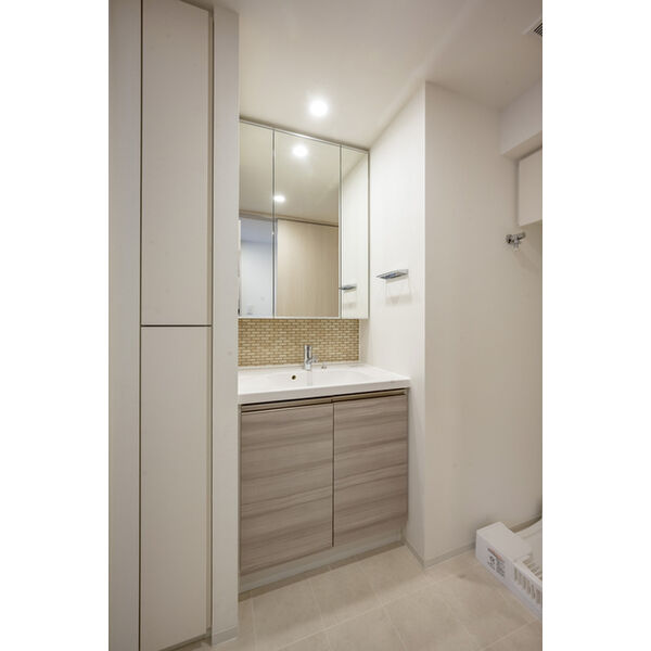 ザ・パークハビオ谷町六丁目テラスの室内写真6枚目