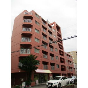 セザール第二円山