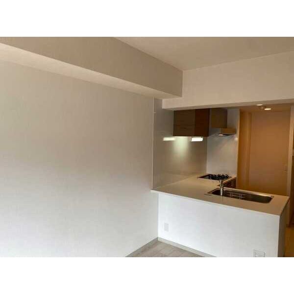 プレサンス松屋町駅前デュオの室内写真1枚目