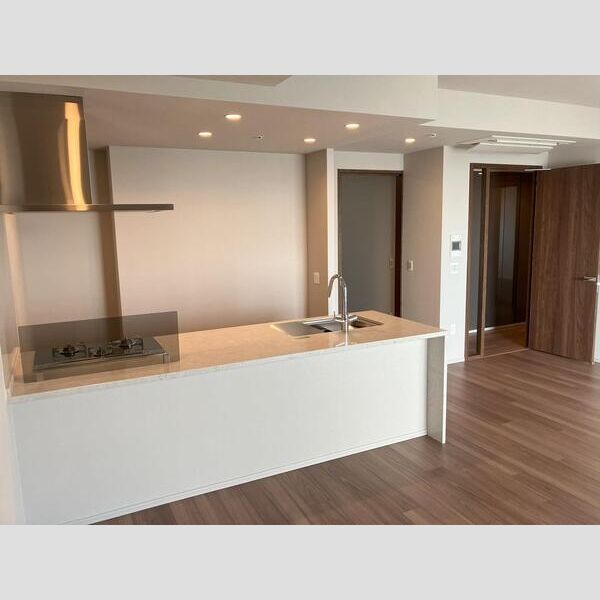 ジオタワー宝塚 グランレジス TheNorthの室内写真5枚目