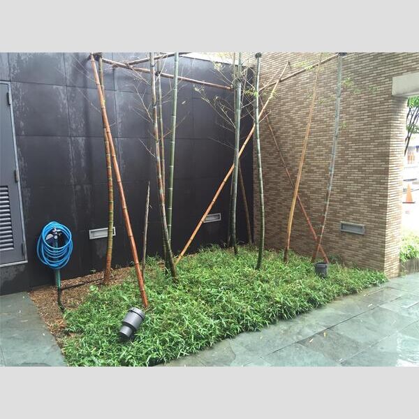 ドライバウム江坂の外観7枚目