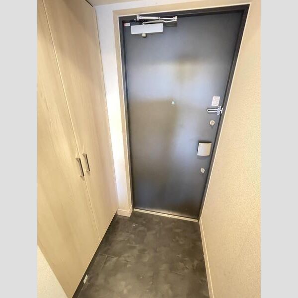 プレサンス三宮フラワーロードの室内写真7枚目