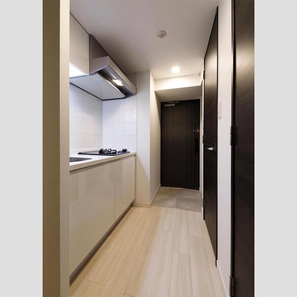 S-RESIDENCE堺市駅前の室内写真20枚目