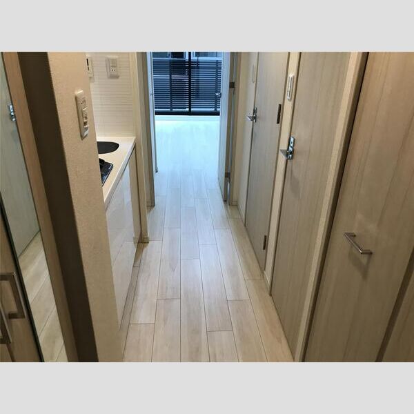 S-RESIDENCE南堀江の室内写真22枚目