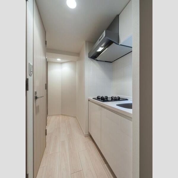 S-RESIDENCE南堀江の室内写真25枚目