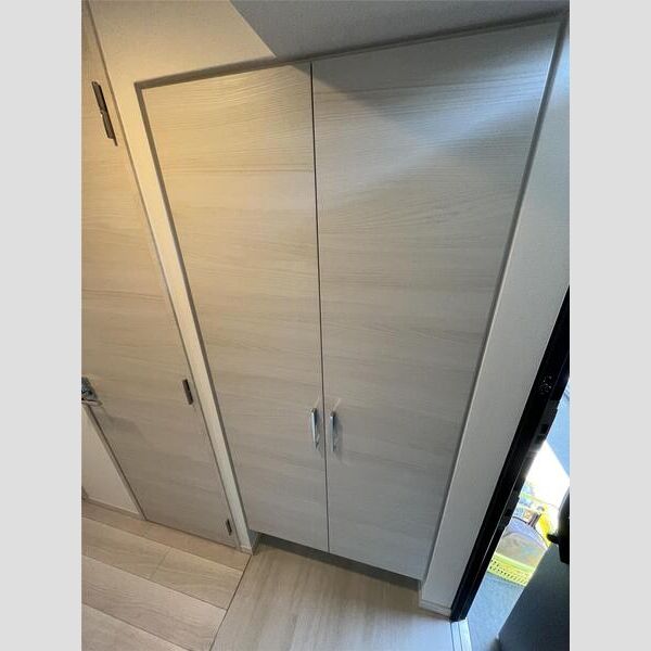 S-RESIDENCEドーム前千代崎の室内写真2枚目