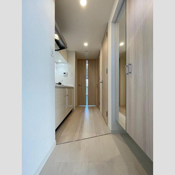 S-RESIDENCE難波大国町Tresの室内写真18枚目