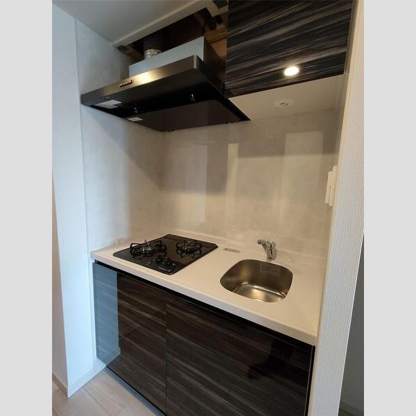 S-RESIDENCE城東SEVERの室内写真11枚目