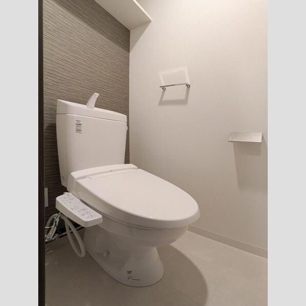 S-RESIDENCE堺altklasの室内写真48枚目