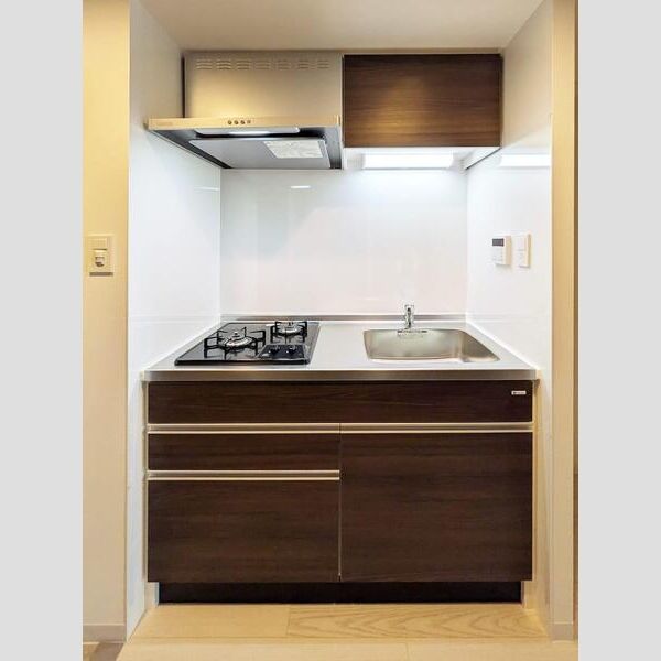 S-RESIDENCE堺altklasの室内写真16枚目