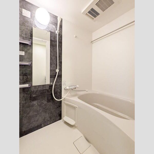 S-RESIDENCE堺altklasの室内写真32枚目