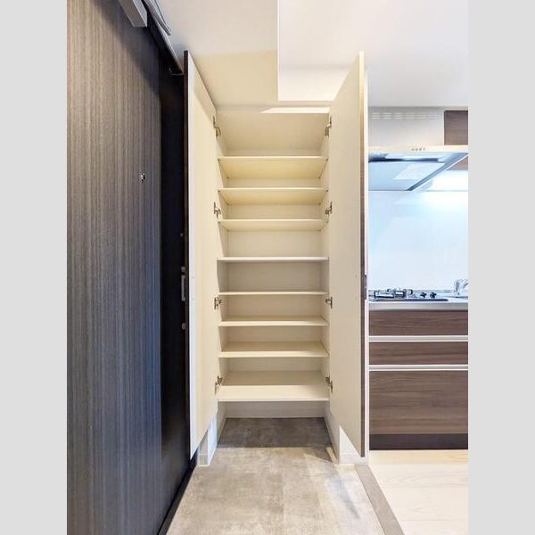 S-RESIDENCE堺altklasの室内写真49枚目