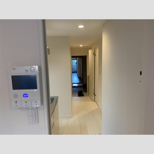 プルメリア江坂の室内写真3枚目