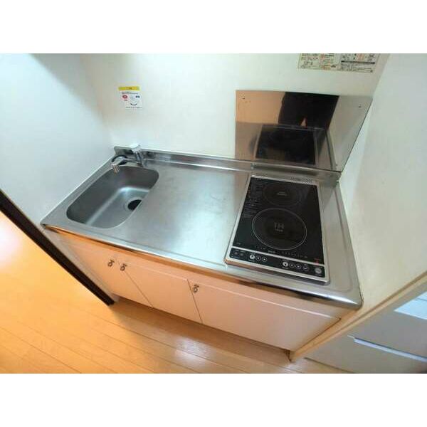 レオネクストグレイス中長尾の室内写真7枚目