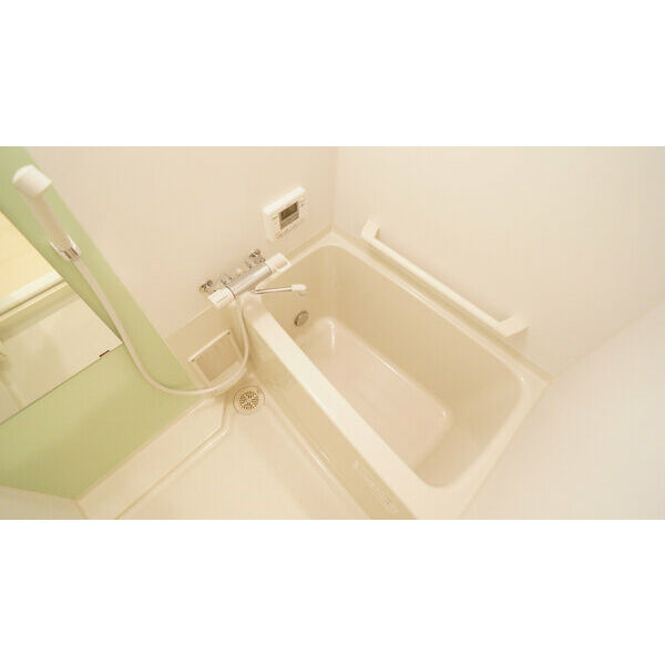 レオネクストエルベ八千代の室内写真4枚目