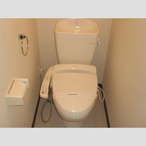 レオネクストあおぞら東の室内写真5枚目