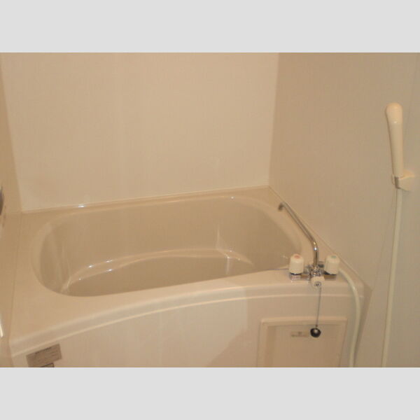 レオネクストあおぞら東の室内写真7枚目