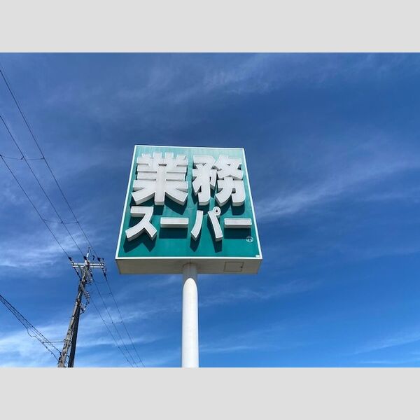 レオパレス天上野IIの外観2枚目