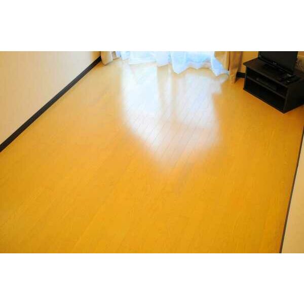 レオネクスト江坂ハイツの室内写真4枚目