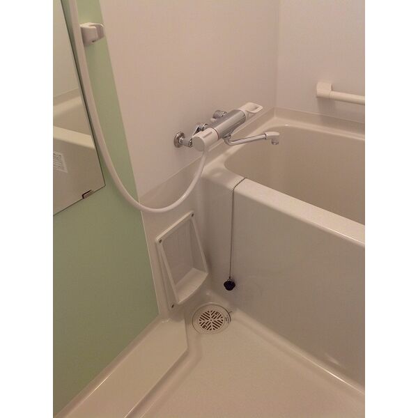 レオネクストリバーサイドIIの室内写真12枚目