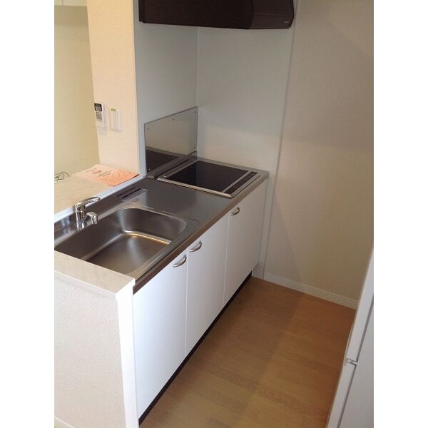 レオネクストリバーサイドIIの室内写真20枚目