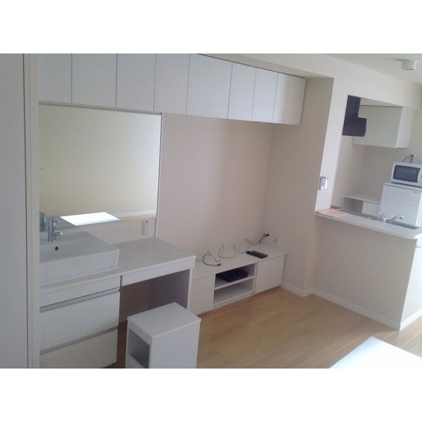 レオネクストリバーサイドIIの室内写真28枚目