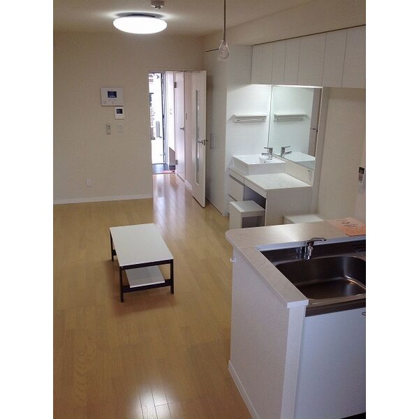 レオネクストリバーサイドIIの室内写真26枚目