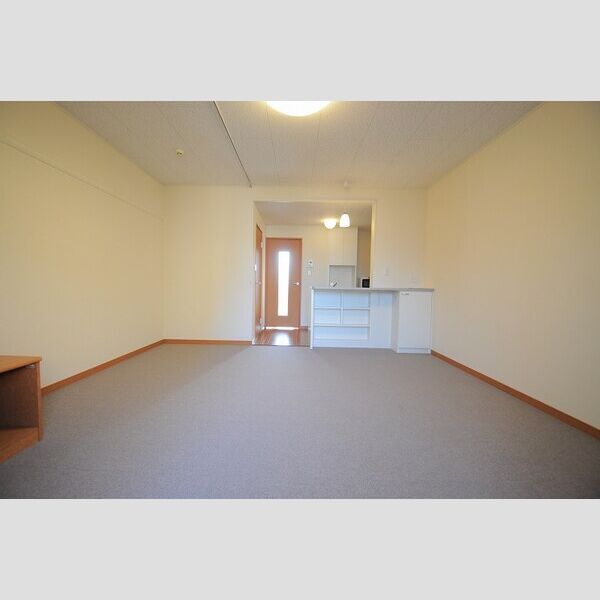 レオパレス天上野IIの室内写真9枚目