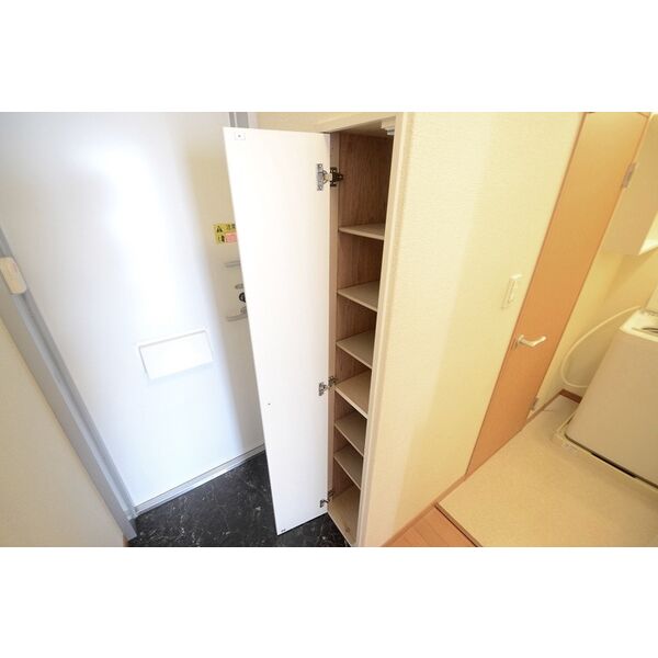 レオパレスパーシモン 辻子の室内写真6枚目