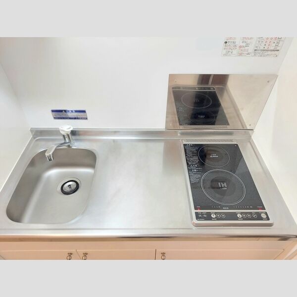 レオネクストCarpeDiemの室内写真14枚目