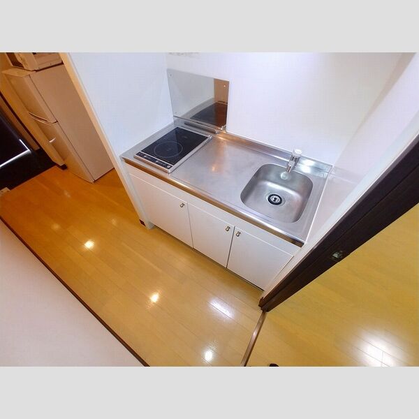 レオネクストパインルージュ立石の室内写真6枚目