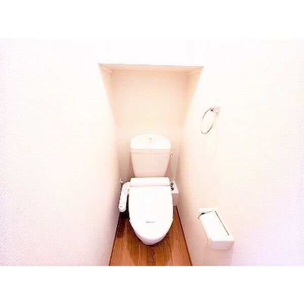 レオパレスデイジーヴィラの室内写真9枚目