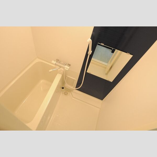 レオネクストアンビエントIIの室内写真10枚目