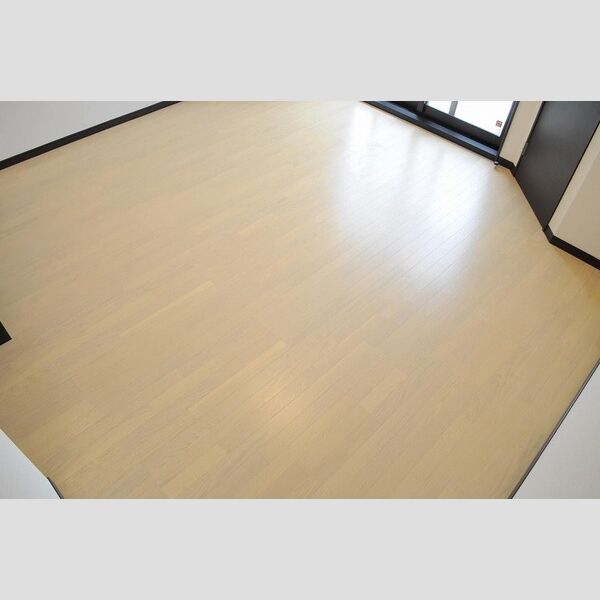 レオネクスト篠山おかのBの室内写真4枚目