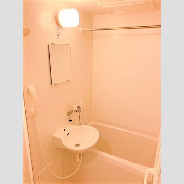 レオパレスブランシュヴァルIIIの室内写真5枚目