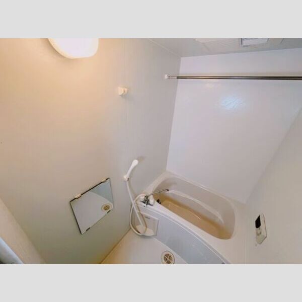 レオネクスト篠山おかのAの室内写真5枚目