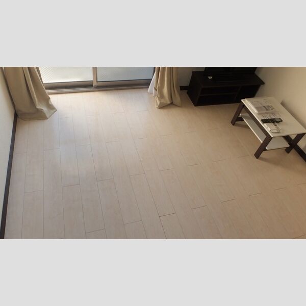 レオネクスト御影中町の室内写真10枚目