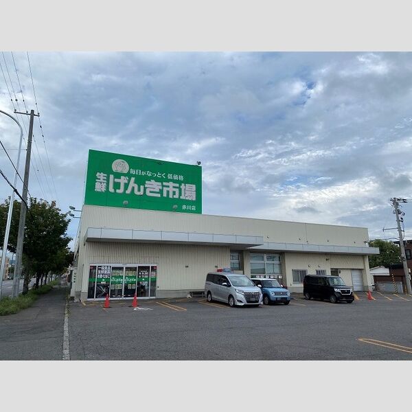 レオパレスひまわりⅡ 画像5