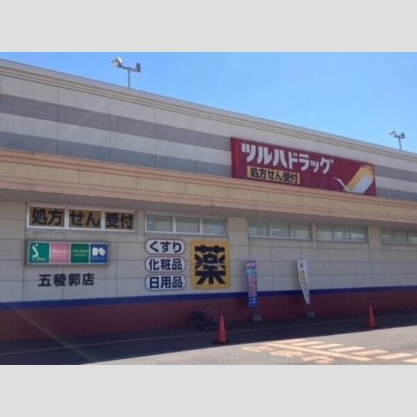 レオパレスPineBeach 画像6