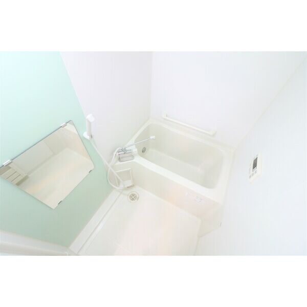 レオネクストクール ド イリスの室内写真11枚目