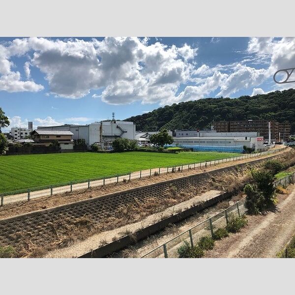 レオネクストトランクィルの室内写真9枚目