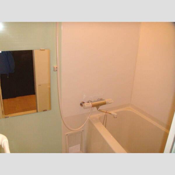 レオネクスト翔の室内写真5枚目