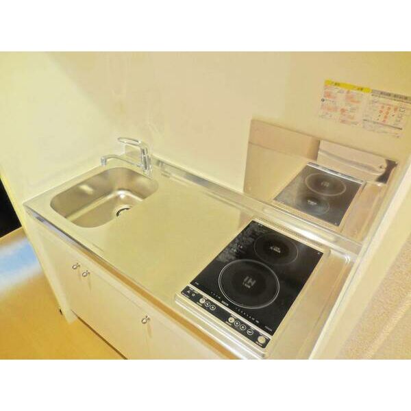 レオネクストパークヴェルブィルの室内写真10枚目