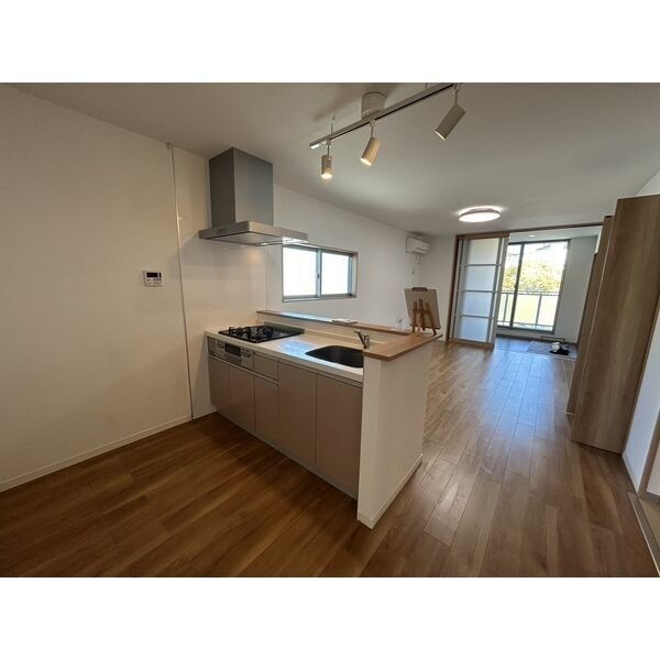 レユシールIIの外観3枚目