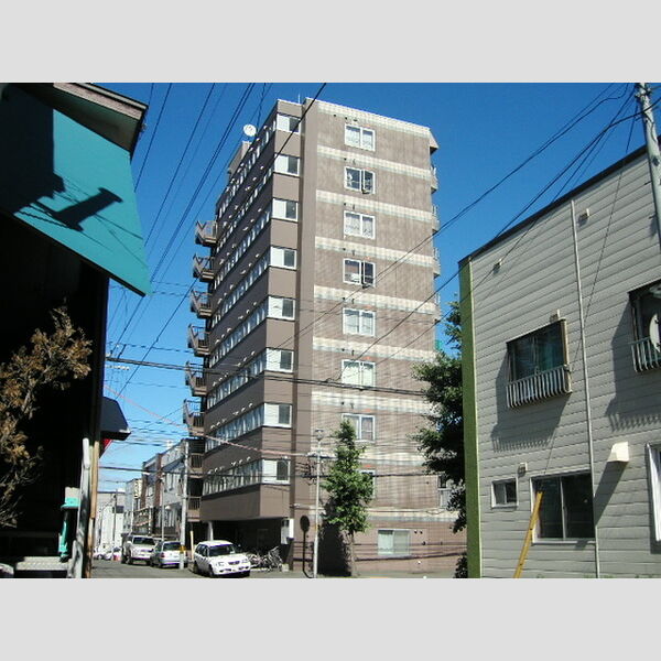 MORE　HONGO