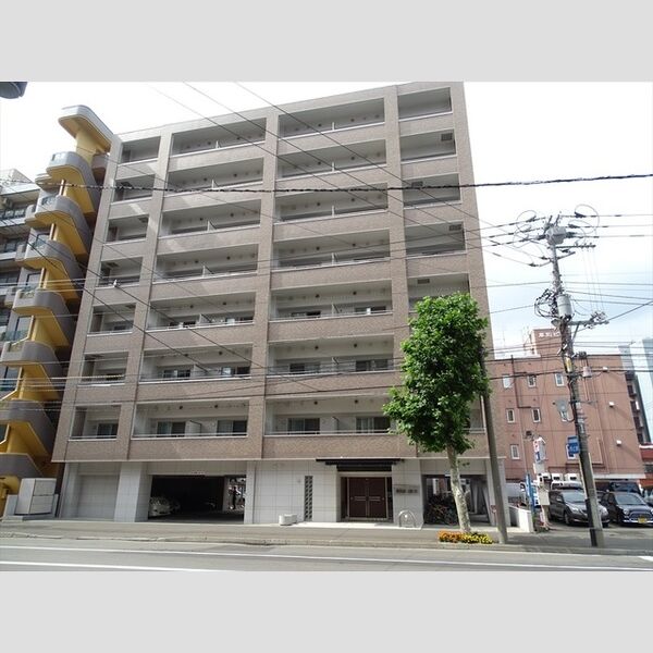 SOUTHERN　CROSS　313 画像1